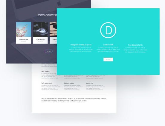 divi theme